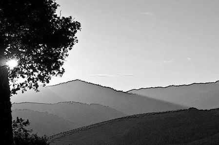 Obsidian Ridge Vineyard, Red Hills, Mayacamas Mountains