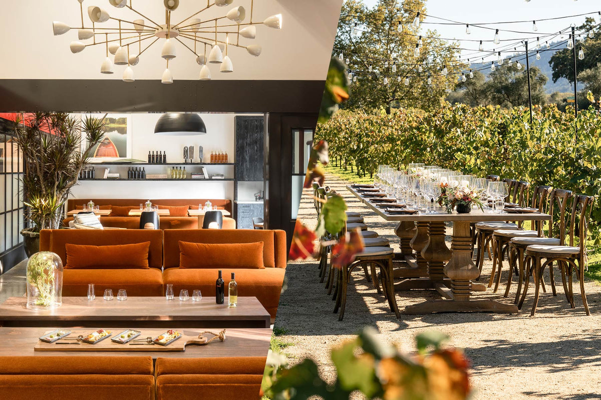 image of the winery and a table in the vineyard 